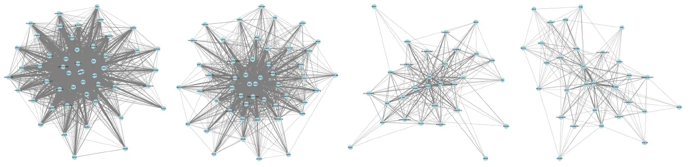 Figure 2: word networks for all four products, drawn as word nodes joined by lines.